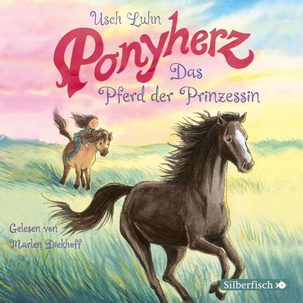 Das Pferd der Prinzessin, 1 Audio-CD (Usch Luhn)