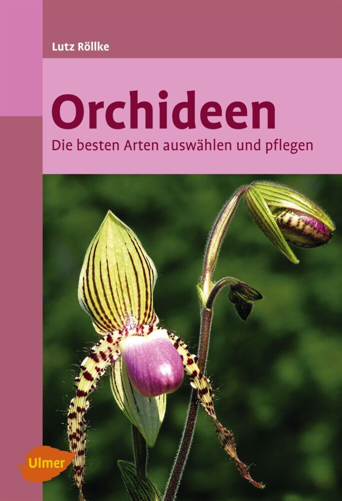 Orchideen (Lutz Röllke)