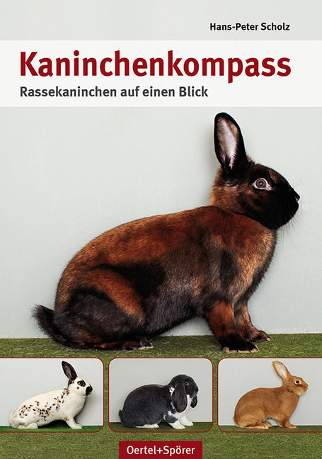 Kaninchen-Kompass (Hans-Peter Scholz)