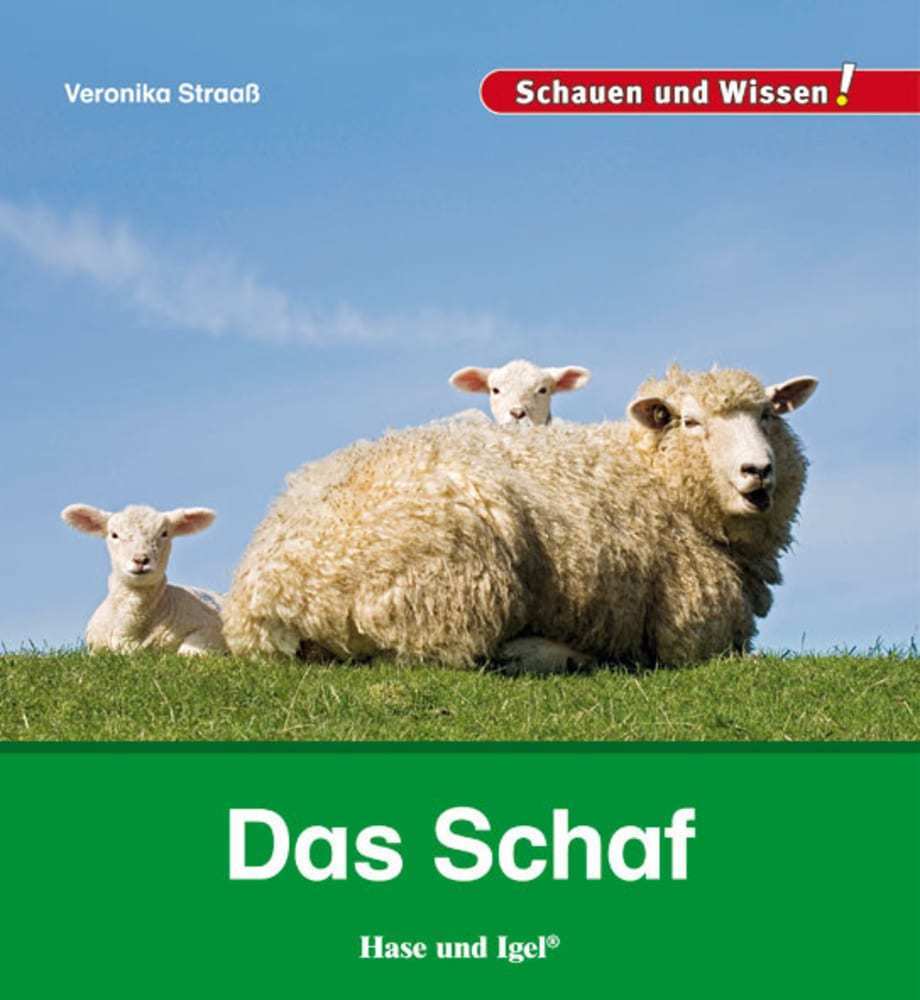 Das Schaf (Veronika Straaß)