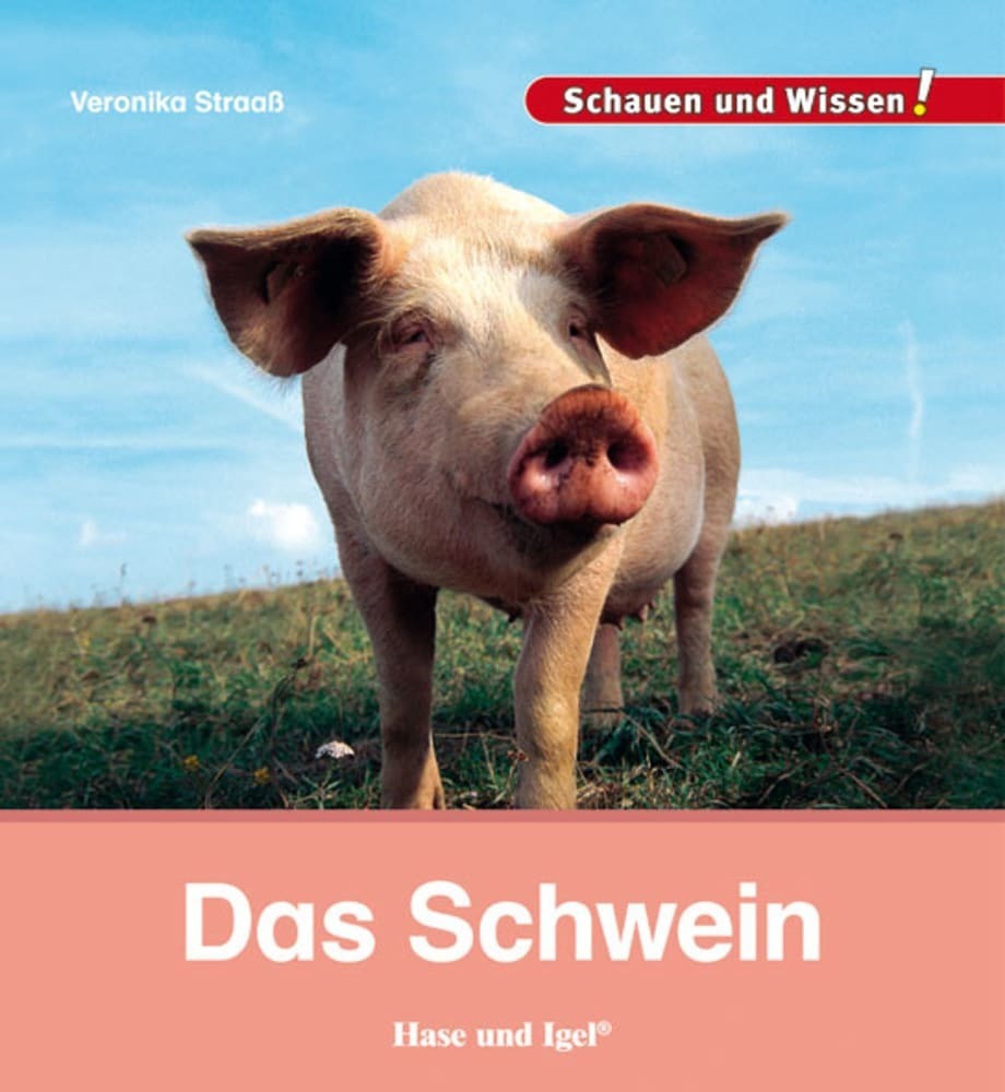 Das Schwein (Veronika Straaß)
