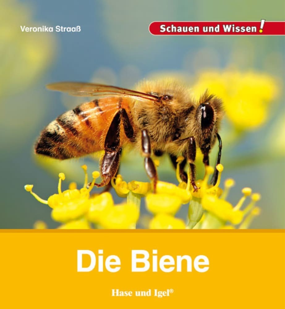 Die Biene (Veronika Straaß)