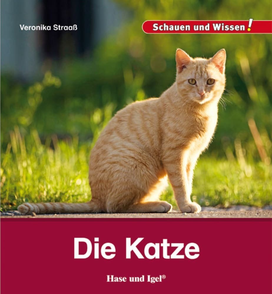 Die Katze (Veronika Straaß)