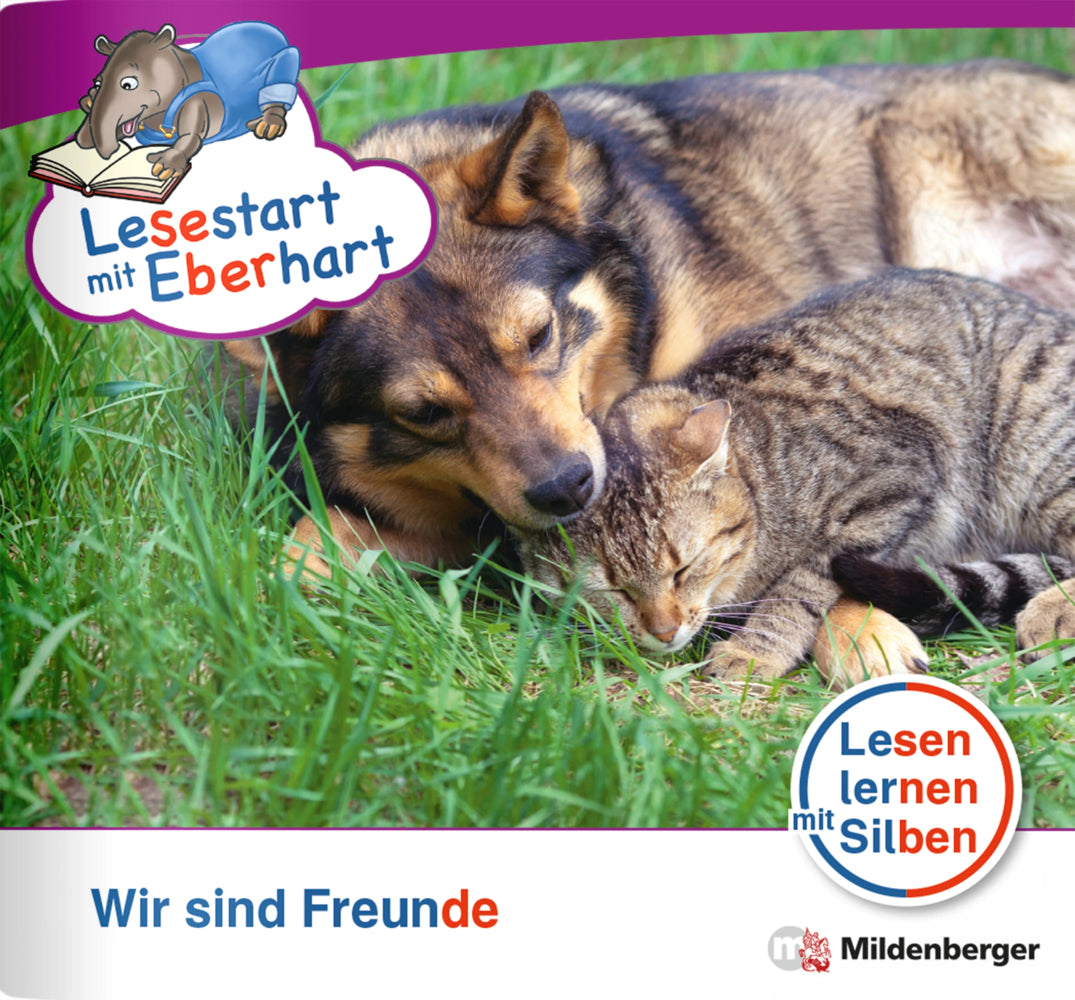 Wir sind Freunde (Nicole Brandau)