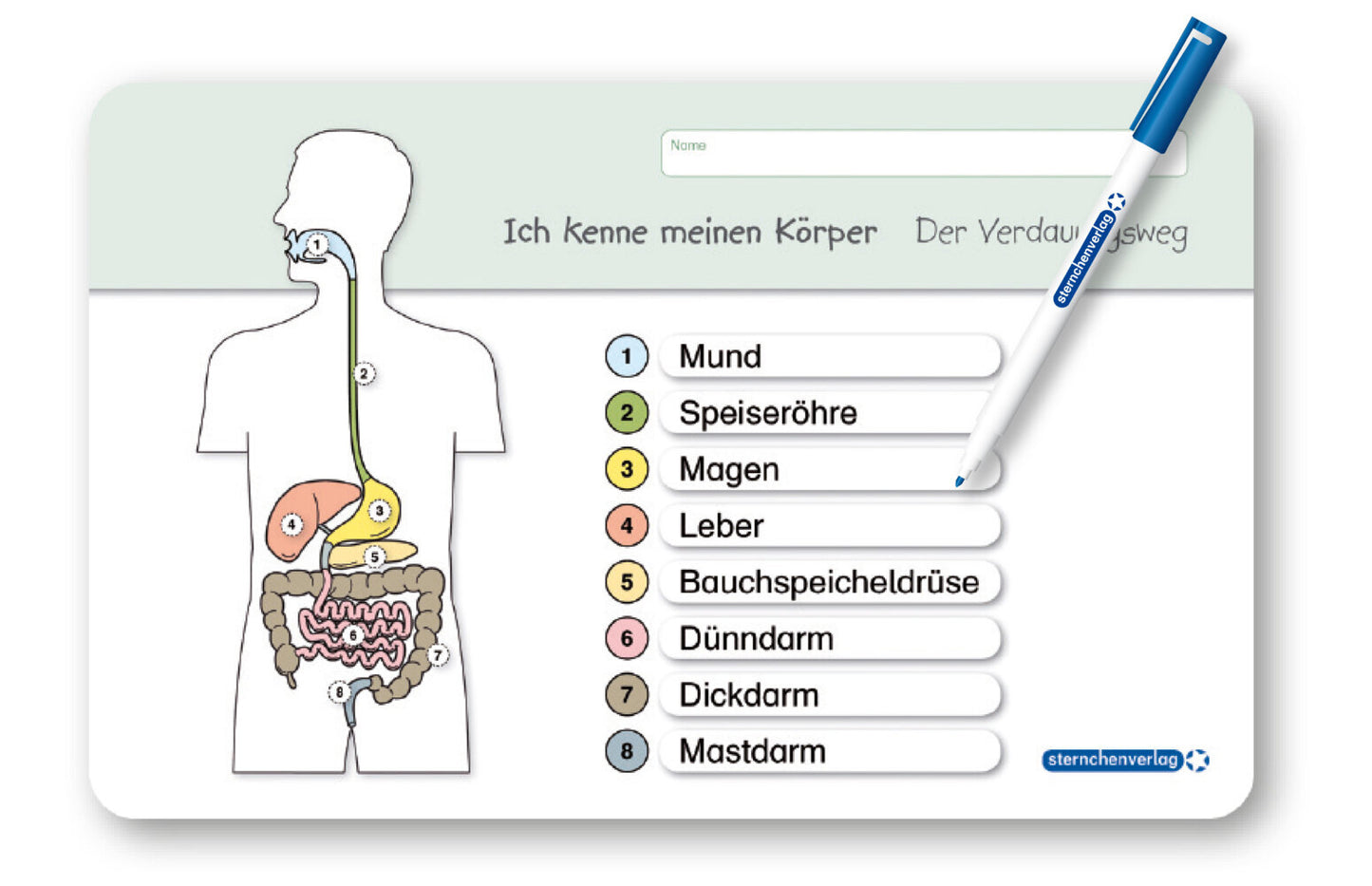Ich kenne meinen Körper - Der Verdauungsweg (Katrin Langhans)