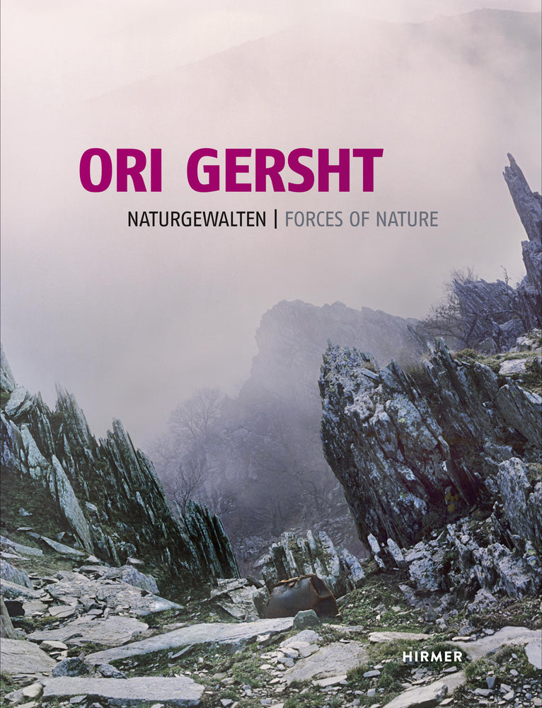 Ori Gersht (Andrea Firmenich)