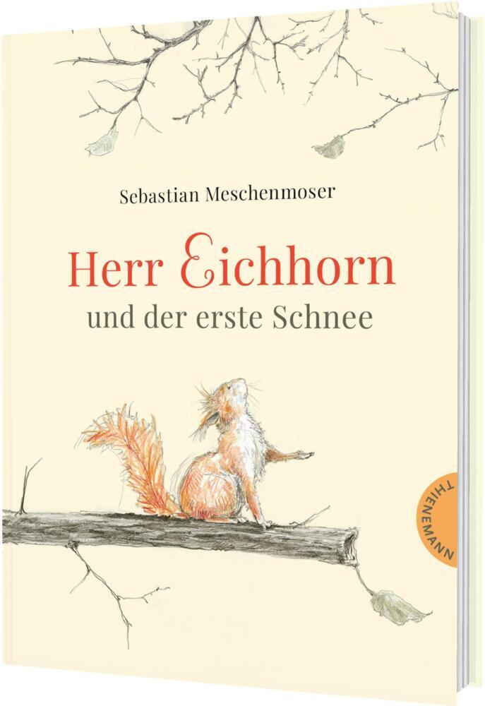 Herr Eichhorn: Herr Eichhorn und der erste Schnee (Sebastian Meschenmoser)