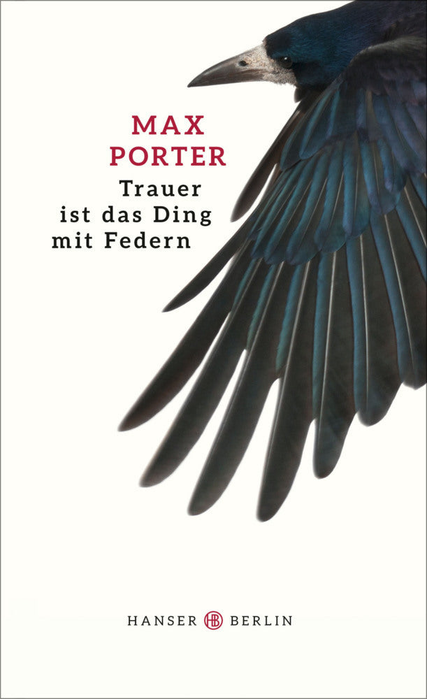 Trauer ist das Ding mit Federn (Max Porter)