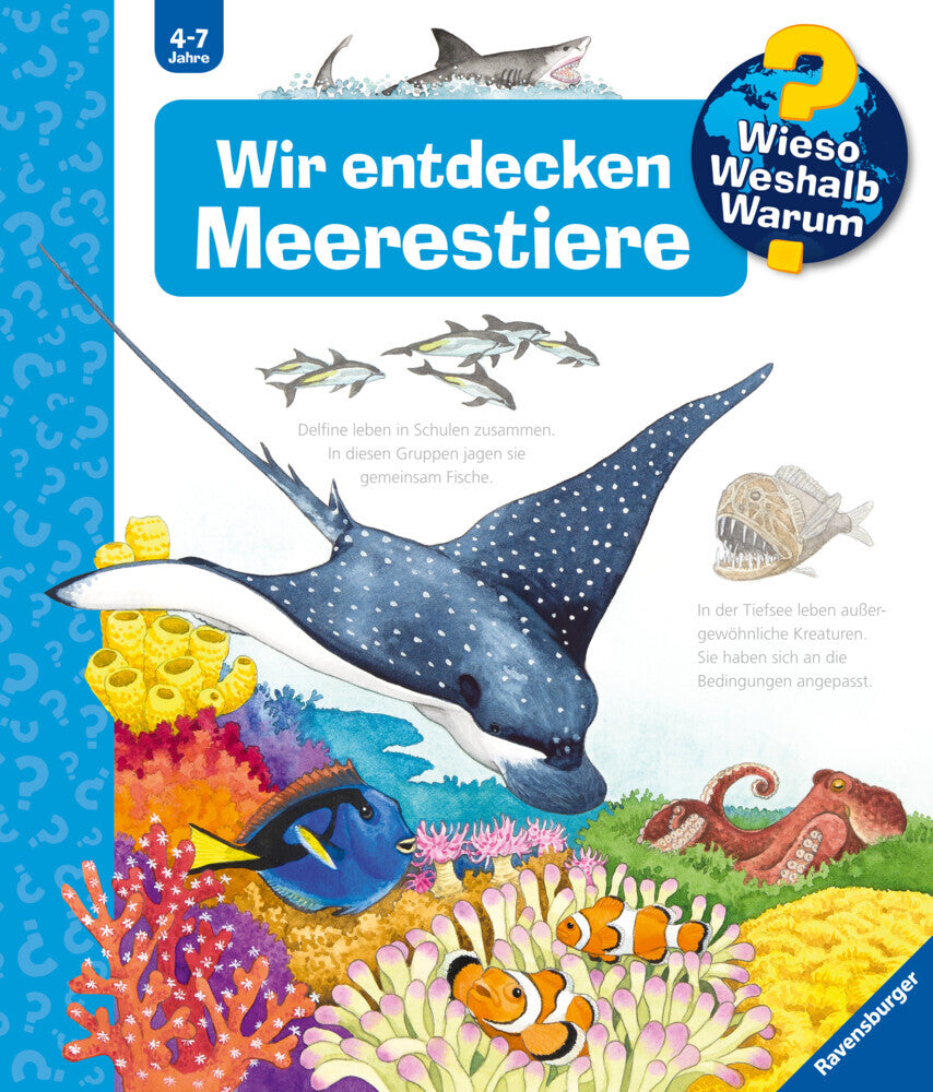 Wieso? Weshalb? Warum? Band 27 - Wir entdecken Meerestiere (Andrea Erne)