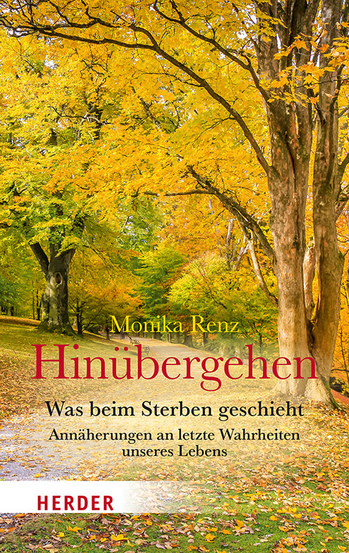 Hinübergehen (Monika Renz)