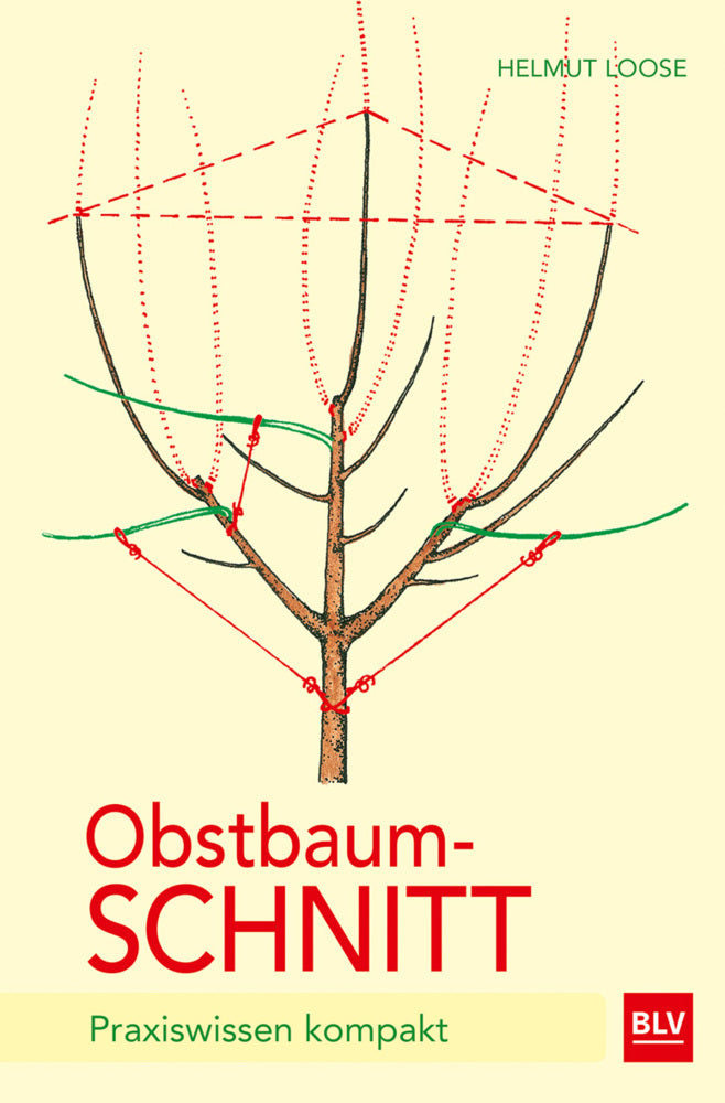 Obstbaumschnitt (Helmut Loose)