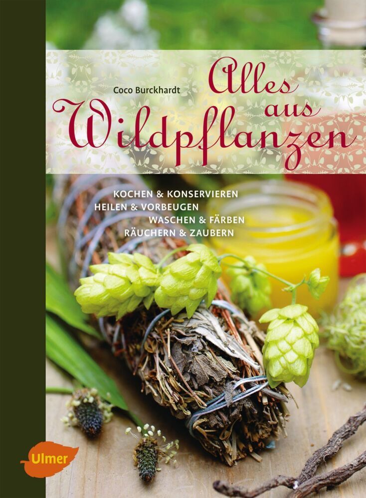 Alles aus Wildpflanzen (Coco Burckhardt)