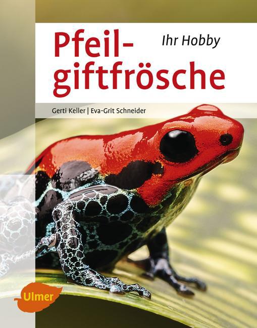 Pfeilgiftfrösche (Gerti Keller)