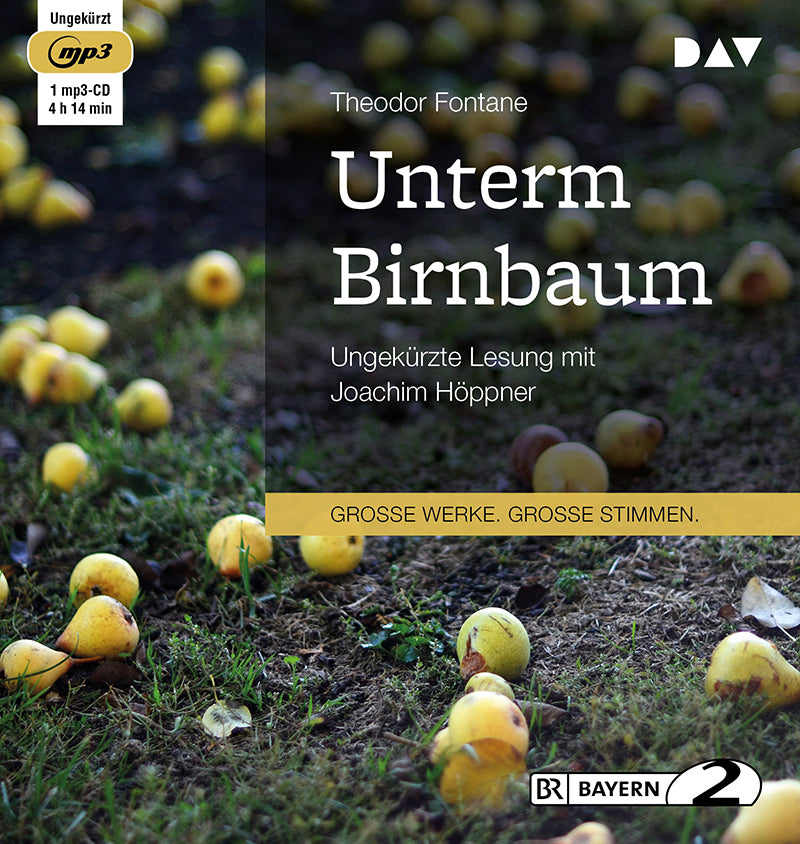 Unterm Birnbaum, 1 Audio-CD, 1 MP3 (Theodor Fontane)