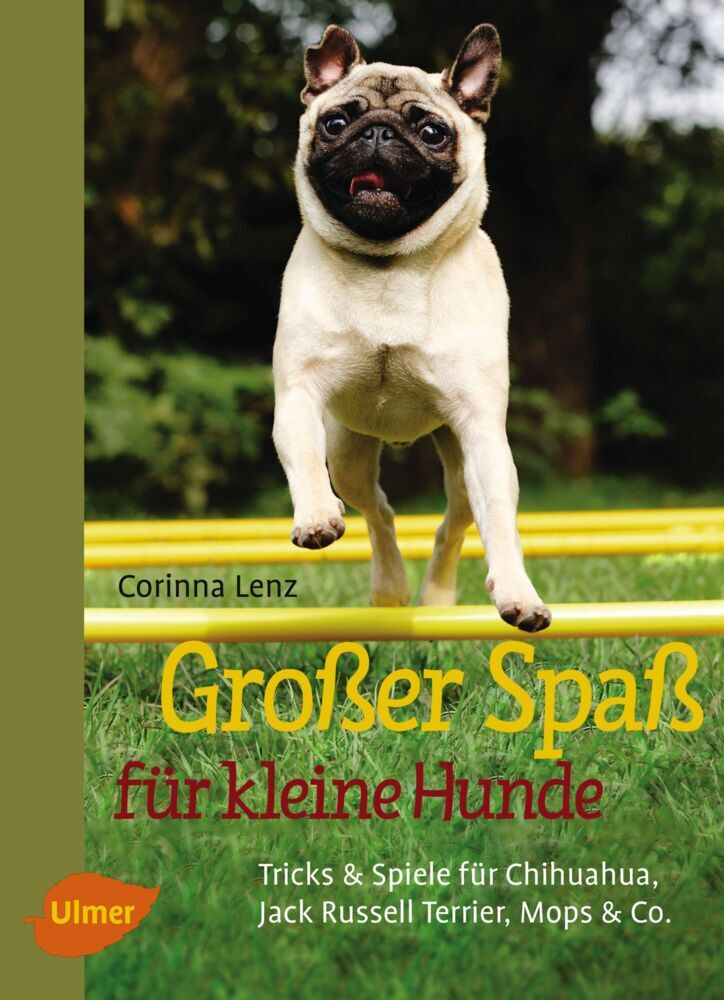 Großer Spaß für kleine Hunde (Corinna Lenz)