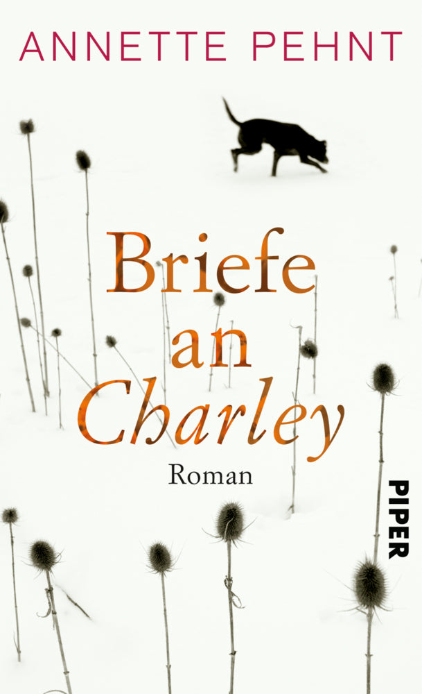 Briefe an Charley (Annette Pehnt)