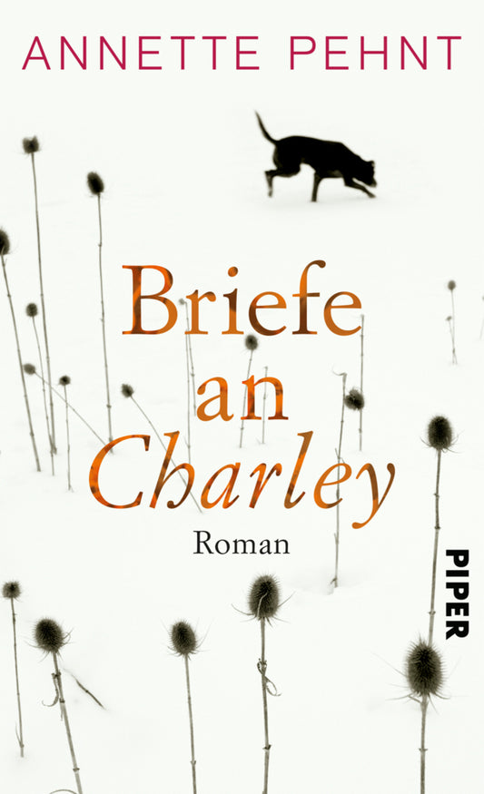 Briefe an Charley (Annette Pehnt)
