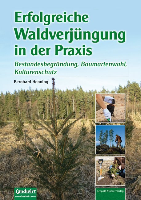 Erfolgreiche Waldverjüngung (Bernhard Henning)