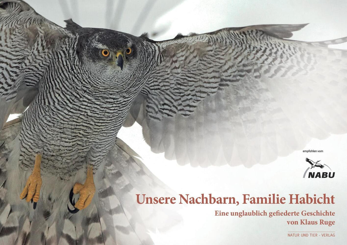 Unsere Nachbarn, Familie Habicht (Klaus Ruge)