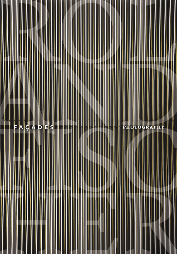 Roland Fischer - Façades (Petra Giloy-Hirtz)