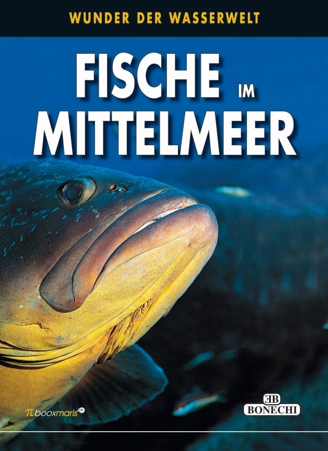 Fische im Mittelmeer (Andrea Ghisotti)