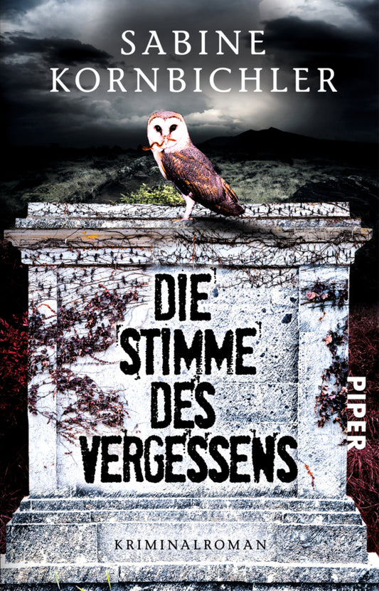 Die Stimme des Vergessens (Sabine Kornbichler)