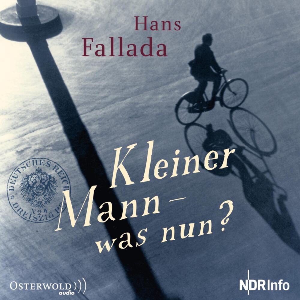 Kleiner Mann - was nun?, 1 Audio-CD (Hans Fallada)