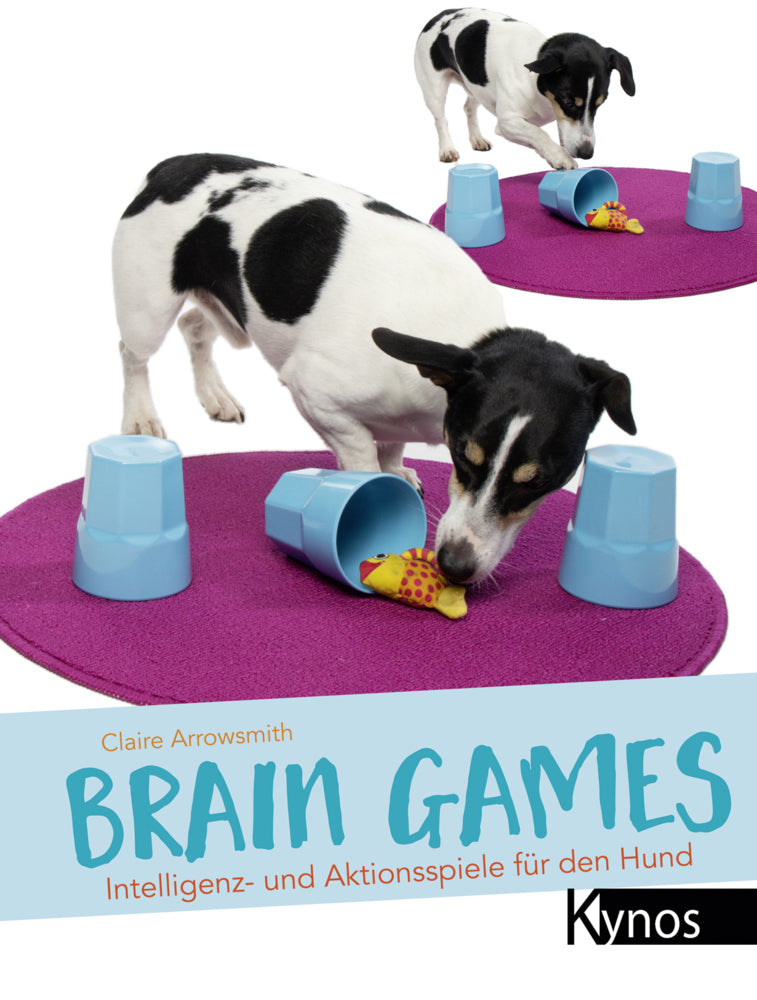 Brain Games (Claire Arrowsmith)