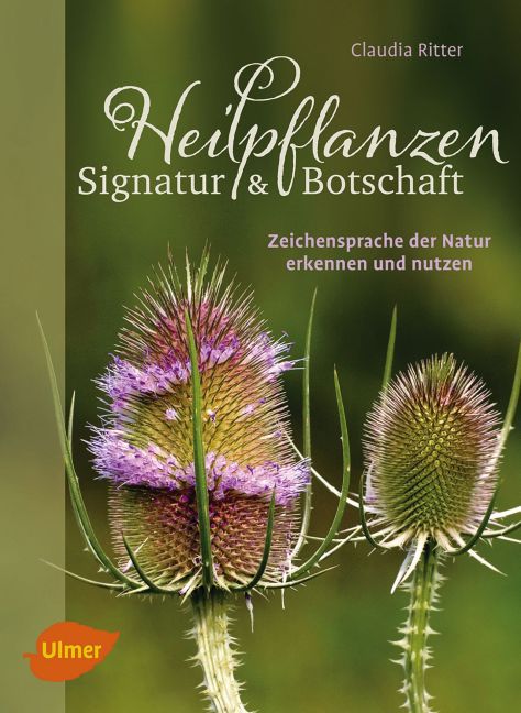 Heilpflanzen. Signatur und Botschaft (Claudia Ritter)