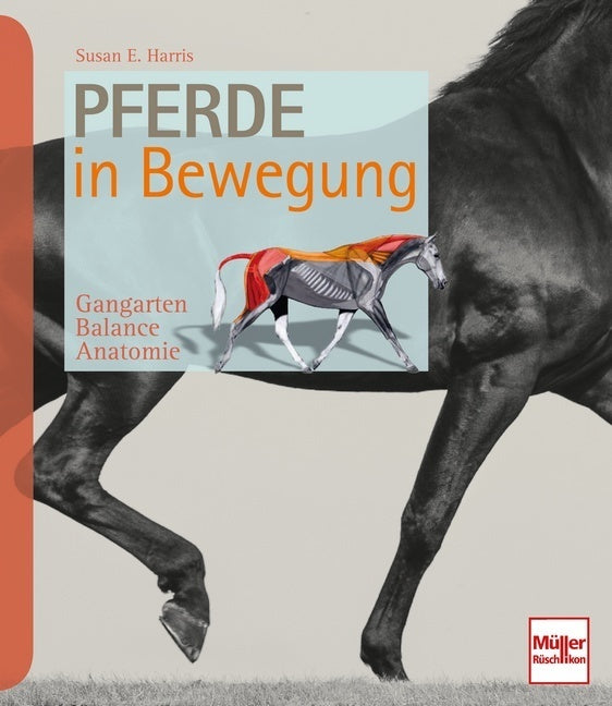 Pferde in Bewegung (Susan E. Harris)