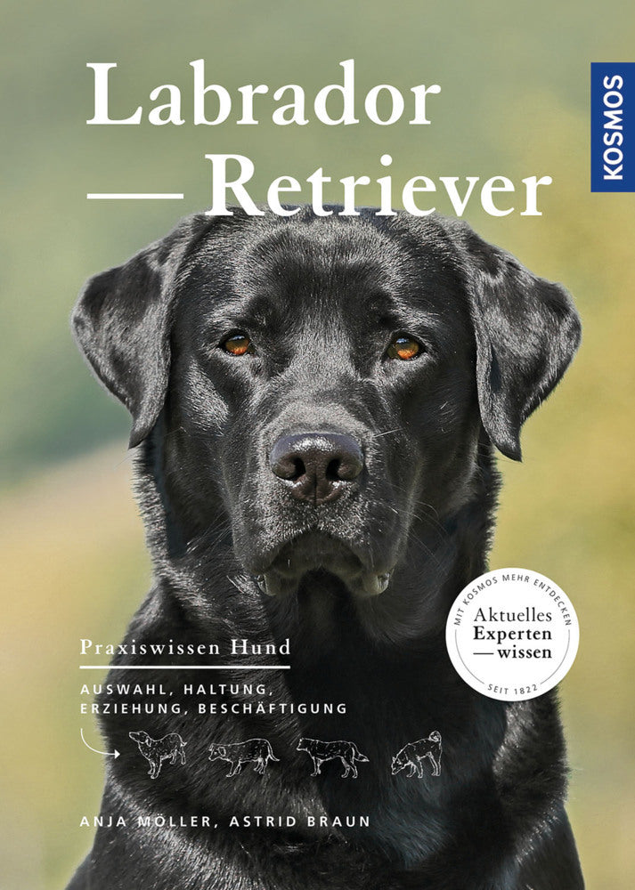 Labrador Retriever (Astrid Braun)