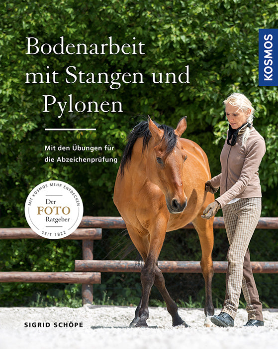 Bodenarbeit mit Stangen und Pylonen (Sigrid Schöpe)