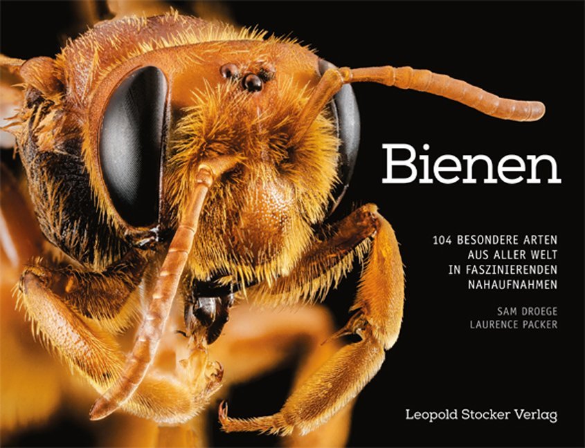 Bienen (Sam Droege)