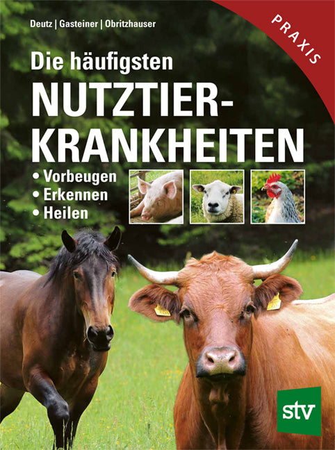 Die häufigsten Nutztierkrankheiten (Armin Deutz)