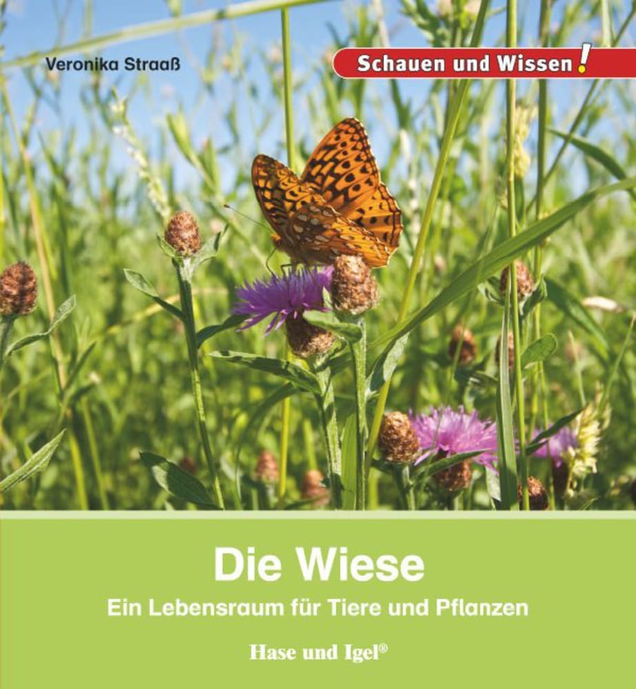 Die Wiese (Veronika Straaß)