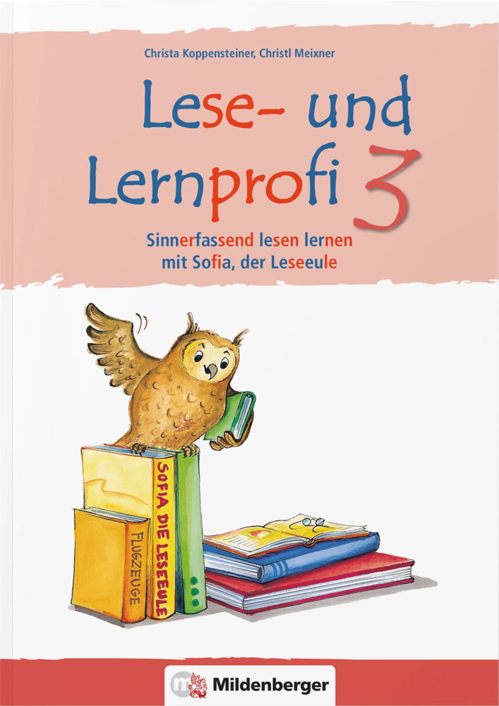 Lese- und Lernprofi 3 - Arbeitsheft - silbierte Ausgabe