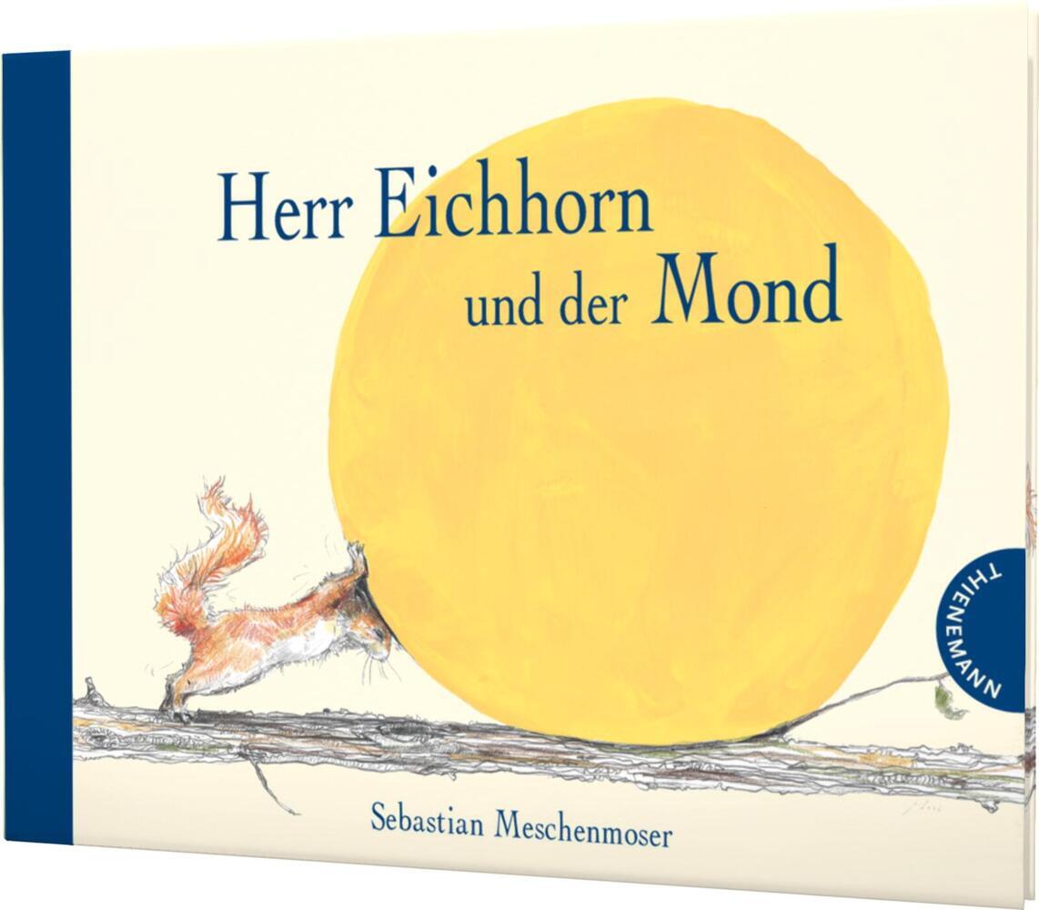 Herr Eichhorn: Herr Eichhorn und der Mond (Sebastian Meschenmoser)