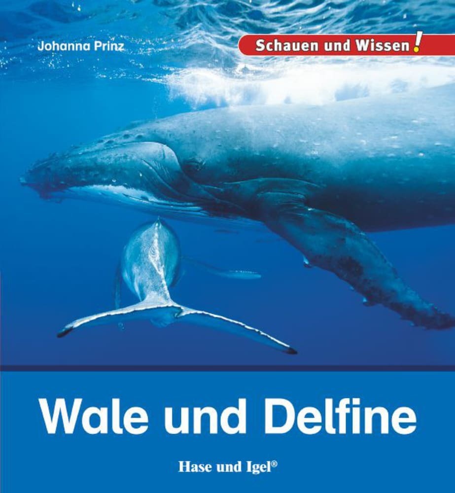 Wale und Delfine (Johanna Prinz)
