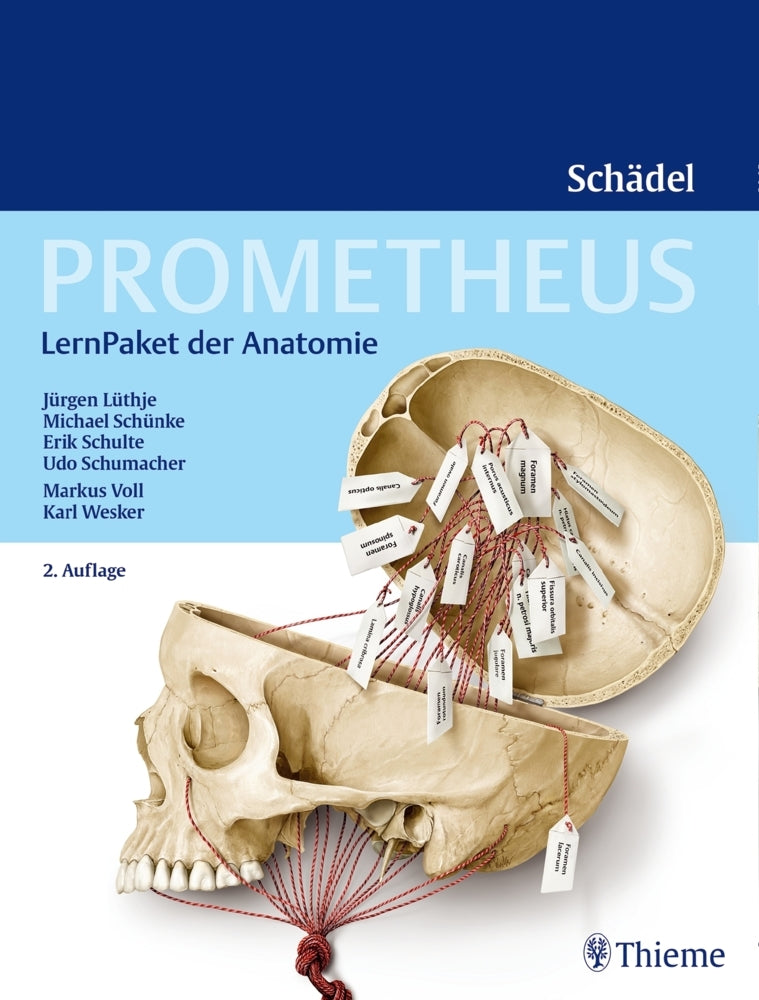 Prometheus Schädel, LernPaket der Anatomie (Jürgen Lüthje)