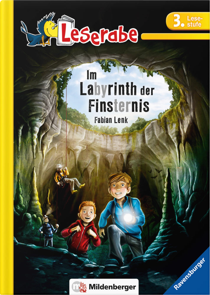 Im Labyrinth der Finsternis (Fabian Lenk)