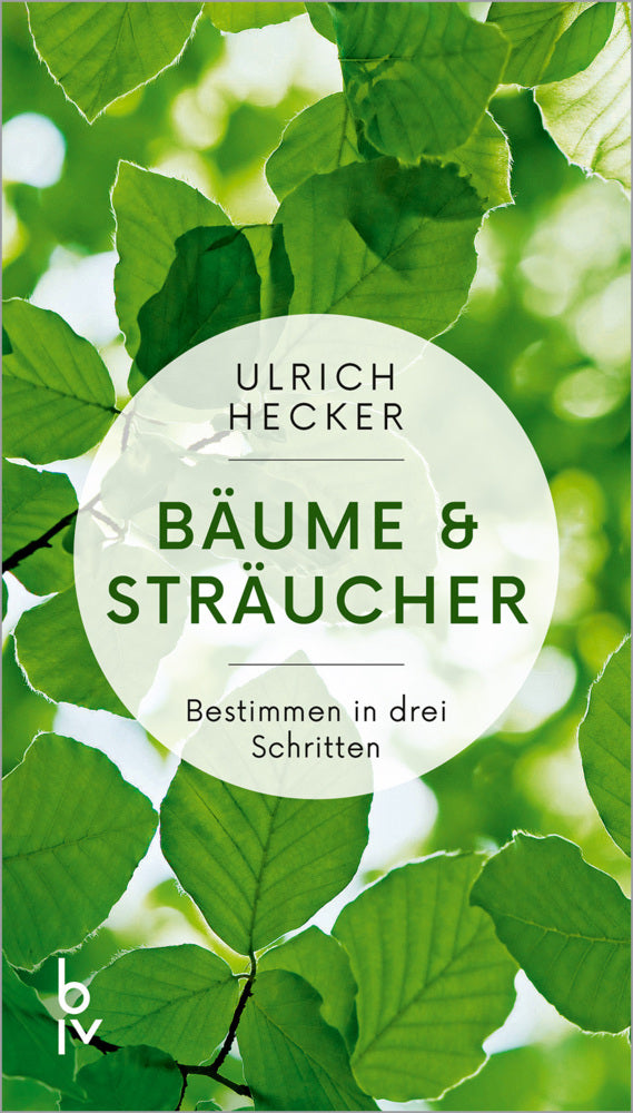Bäume und Sträucher (Ulrich Hecker)