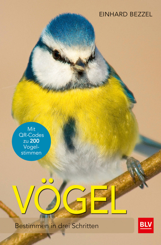 Vögel (Einhard Bezzel)