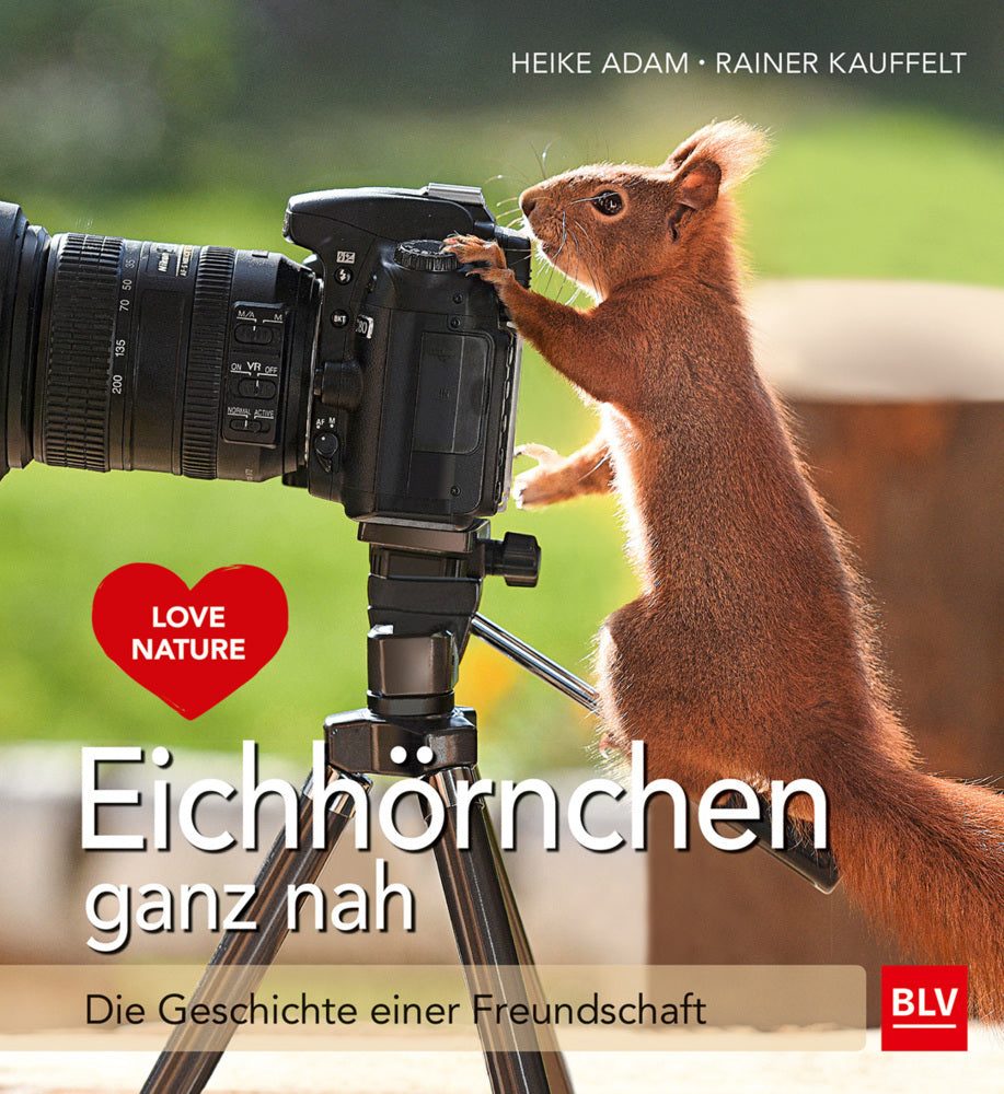 Eichhörnchen ganz nah (Heike Adam)