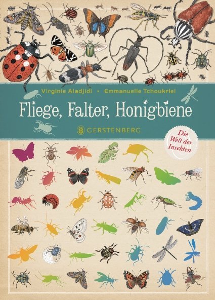 Fliege, Falter, Honigbiene (Virginie Aladjidi)