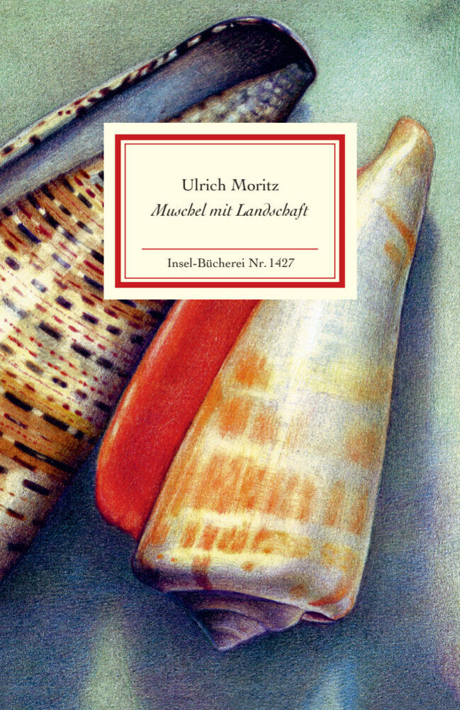 Muschel mit Landschaft (Ulrich Moritz)