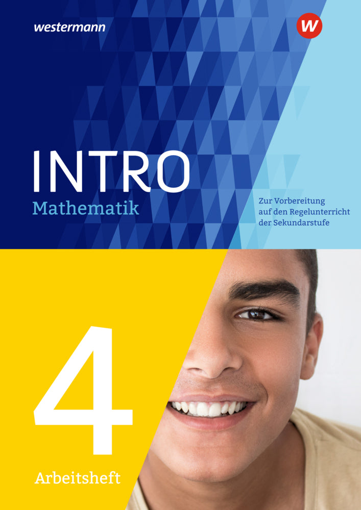 INTRO Mathematik SI - Arbeitsheft 4 (Nicole Hemmers)