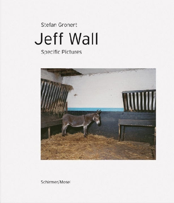Specific Pictures (Jeff Wall)