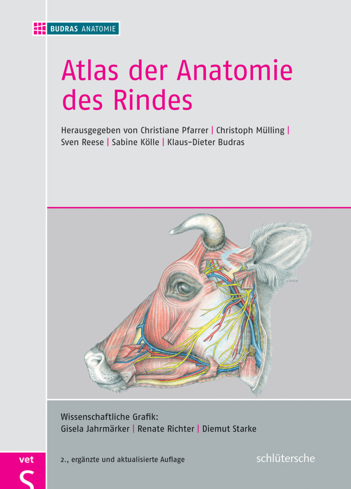 Atlas der Anatomie des Rindes (Christiane Pfarrer)
