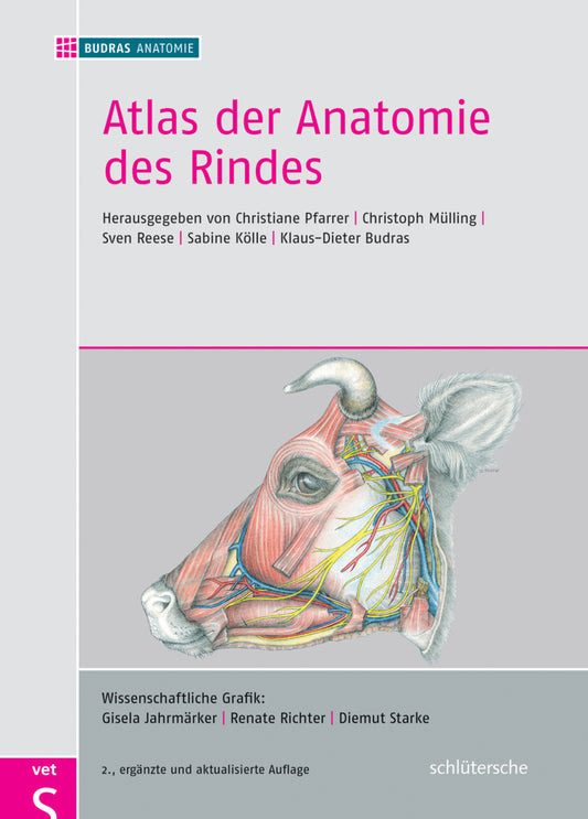 Atlas der Anatomie des Rindes (Christiane Pfarrer)