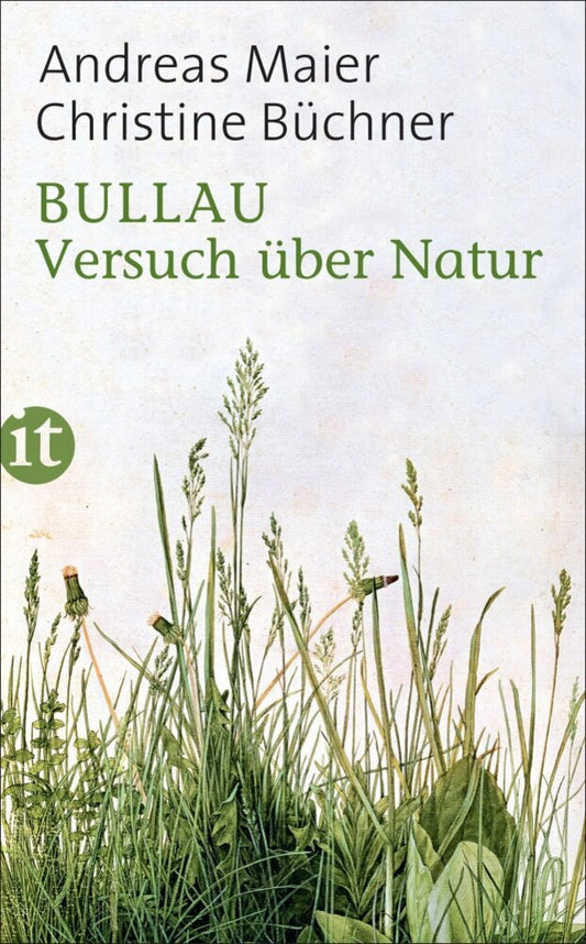 Bullau (Andreas Maier)